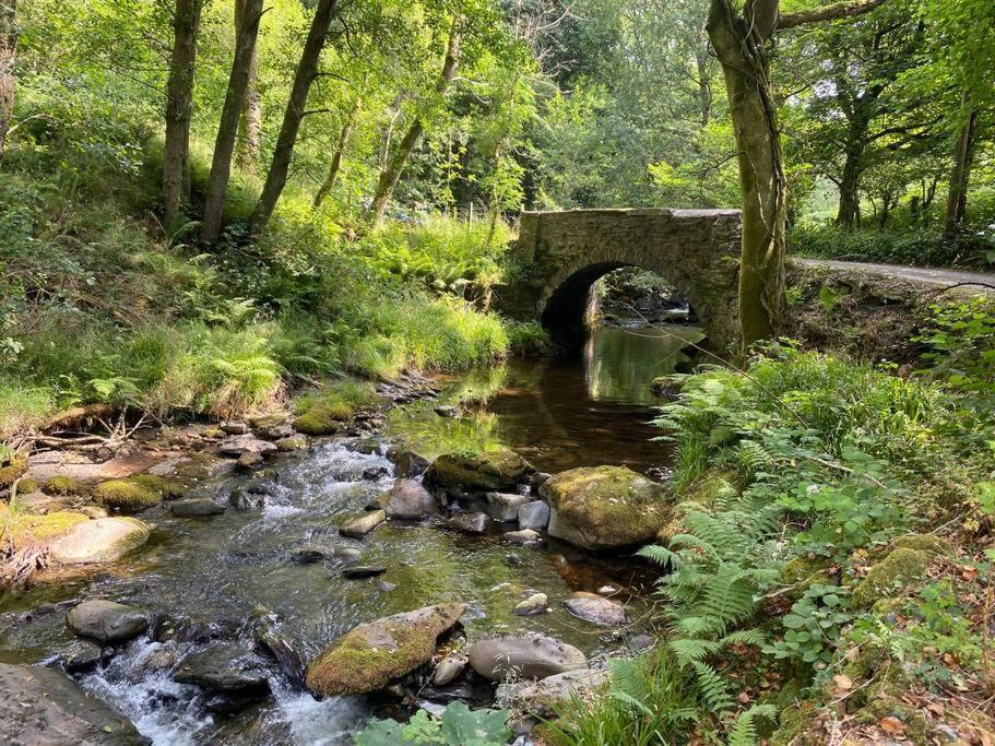 Cuckoo Cabin, Tyn Y Cwm Eglwys-Fach Екстер'єр фото